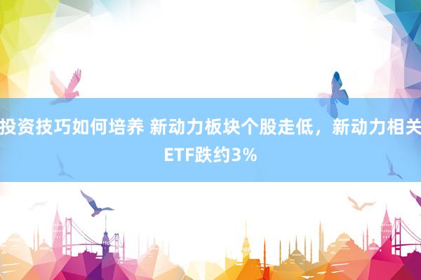 投资技巧如何培养 新动力板块个股走低，新动力相关ETF跌约3%