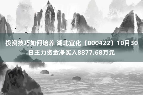 投资技巧如何培养 湖北宜化（000422）10月30日主力资金净买入8877.68万元