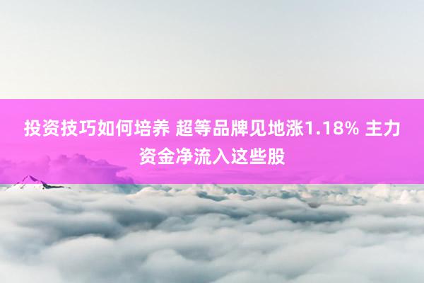 投资技巧如何培养 超等品牌见地涨1.18% 主力资金净流入这些股