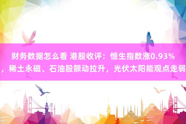 财务数据怎么看 港股收评：恒生指数涨0.93%，稀土永磁、石油股颤动拉升，光伏太阳能观点走弱