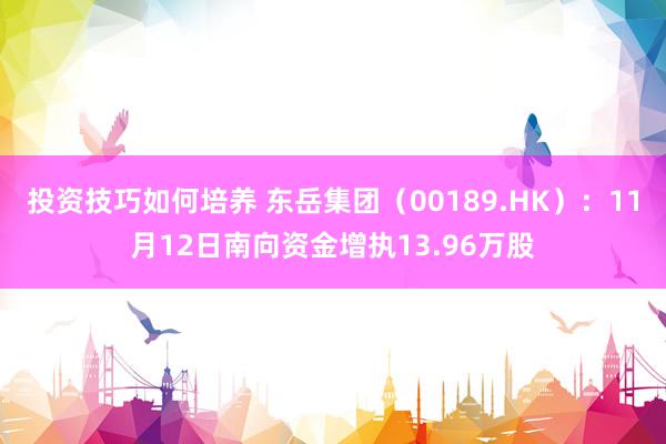 投资技巧如何培养 东岳集团（00189.HK）：11月12日南向资金增执13.96万股