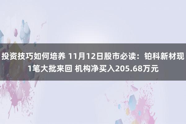 投资技巧如何培养 11月12日股市必读：铂科新材现1笔大批来回 机构净买入205.68万元