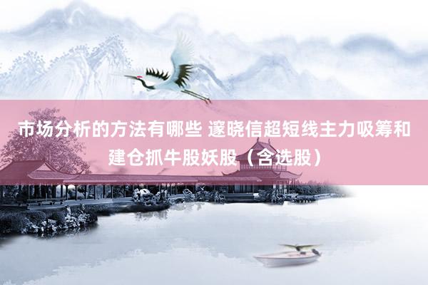 市场分析的方法有哪些 邃晓信超短线主力吸筹和建仓抓牛股妖股（含选股）