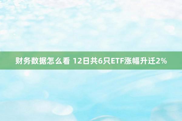 财务数据怎么看 12日共6只ETF涨幅升迁2%