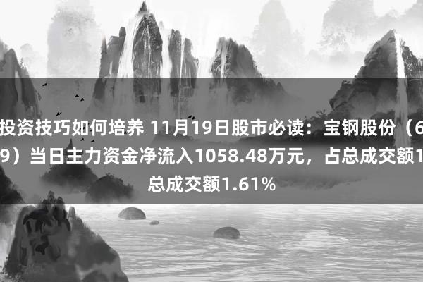 投资技巧如何培养 11月19日股市必读：宝钢股份（600019）当日主力资金净流入1058.48万元，占总成交额1.61%