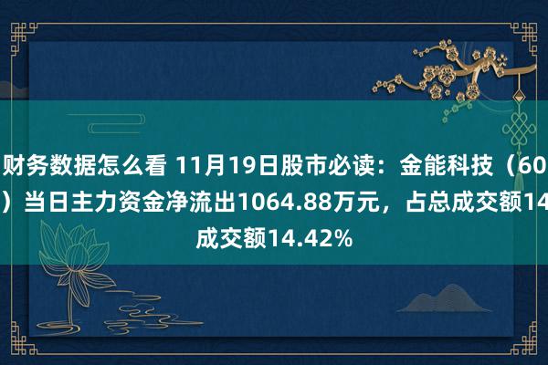 财务数据怎么看 11月19日股市必读：金能科技（603113）当日主力资金净流出1064.88万元，占总成交额14.42%