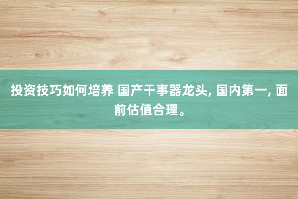 投资技巧如何培养 国产干事器龙头, 国内第一, 面前估值合理。