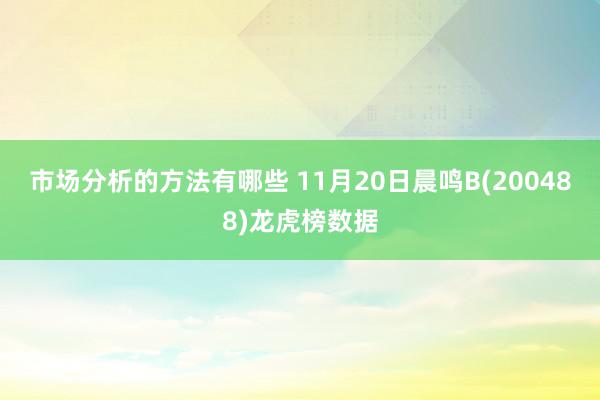 市场分析的方法有哪些 11月20日晨鸣B(200488)龙虎榜数据