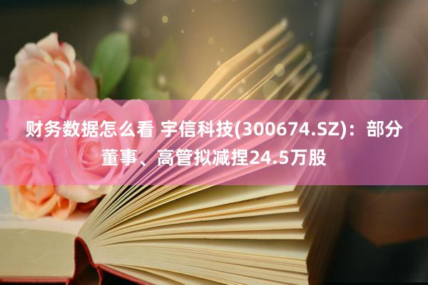 财务数据怎么看 宇信科技(300674.SZ)：部分董事、高管拟减捏24.5万股