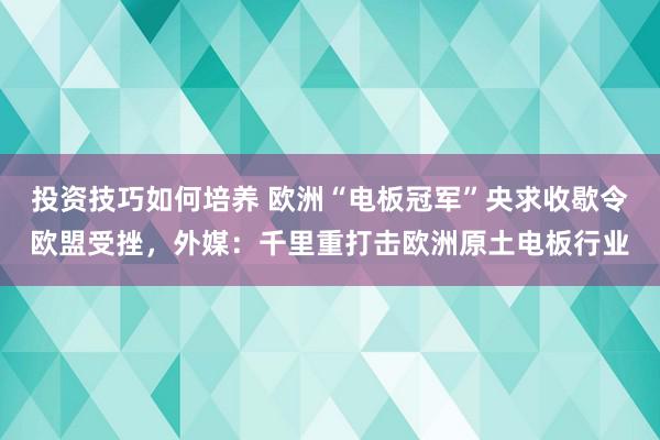 投资技巧如何培养 欧洲“电板冠军”央求收歇令欧盟受挫，外媒：千里重打击欧洲原土电板行业