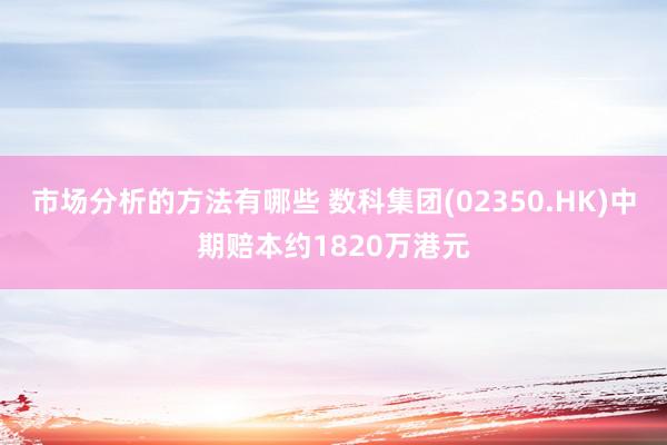 市场分析的方法有哪些 数科集团(02350.HK)中期赔本约1820万港元