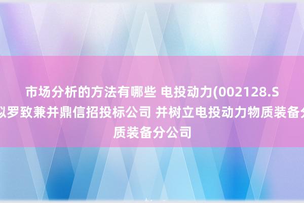 市场分析的方法有哪些 电投动力(002128.SZ)：拟罗致兼并鼎信招投标公司 并树立电投动力物质装备分公司