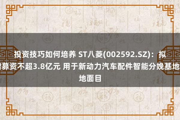 投资技巧如何培养 ST八菱(002592.SZ)：拟定增募资不超3.8亿元 用于新动力汽车配件智能分娩基地面目