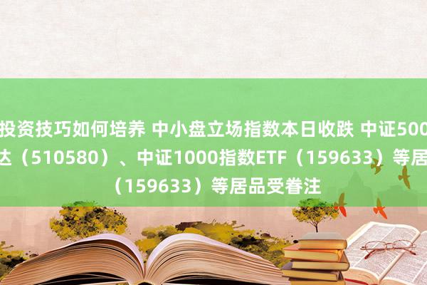 投资技巧如何培养 中小盘立场指数本日收跌 中证500ETF易方达（510580）、中证1000指数ETF（159633）等居品受眷注