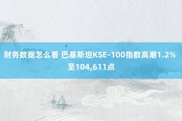 财务数据怎么看 巴基斯坦KSE-100指数高潮1.2% 至104,611点