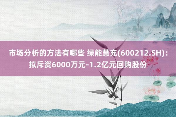 市场分析的方法有哪些 绿能慧充(600212.SH)：拟斥资6000万元-1.2亿元回购股份