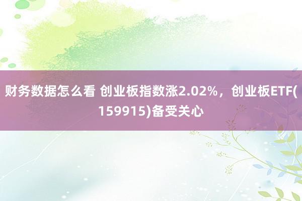 财务数据怎么看 创业板指数涨2.02%，创业板ETF(159915)备受关心