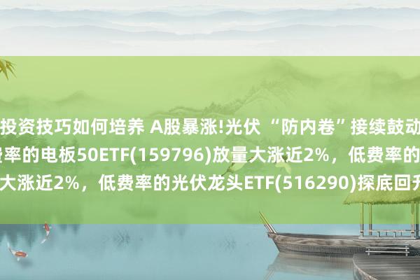 投资技巧如何培养 A股暴涨!光伏 “防内卷”接续鼓动,同类限度最大、低费率的电板50ETF(159796)放量大涨近2%，低费率的光伏龙头ETF(516290)探底回升翻红