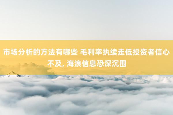 市场分析的方法有哪些 毛利率执续走低投资者信心不及, 海浪信息恐深沉围