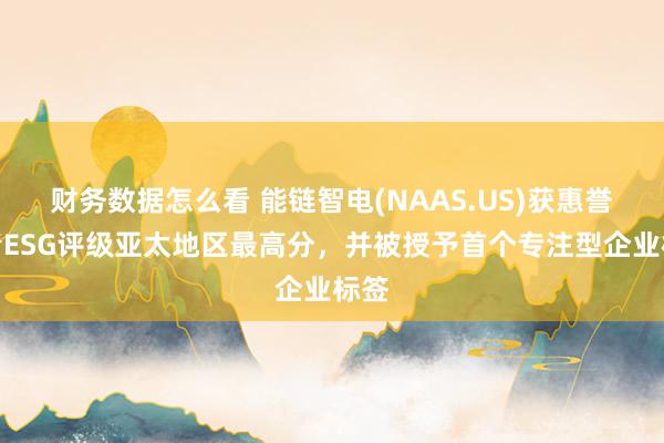 财务数据怎么看 能链智电(NAAS.US)获惠誉常青ESG评级亚太地区最高分，并被授予首个专注型企业标签