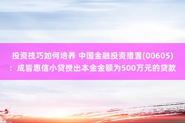 投资技巧如何培养 中国金融投资措置(00605)：成皆惠信小贷授出本金金额为500万元的贷款