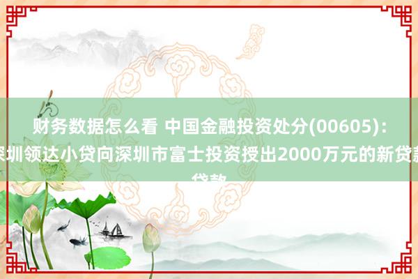 财务数据怎么看 中国金融投资处分(00605)：深圳领达小贷向深圳市富士投资授出2000万元的新贷款