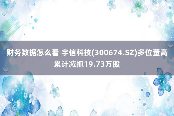 财务数据怎么看 宇信科技(300674.SZ)多位董高累计减抓19.73万股