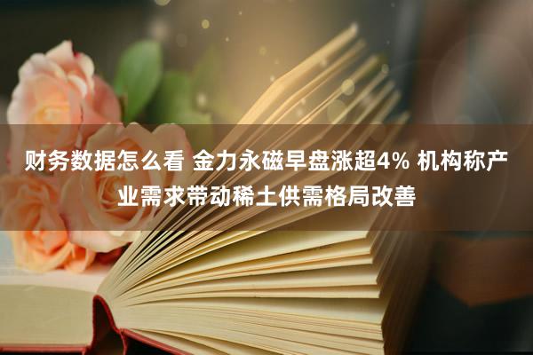 财务数据怎么看 金力永磁早盘涨超4% 机构称产业需求带动稀土供需格局改善