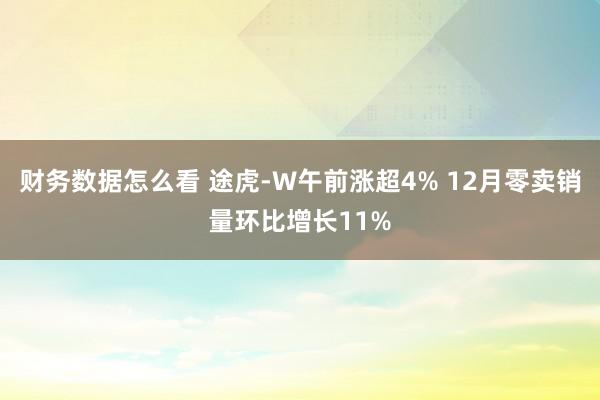 财务数据怎么看 途虎-W午前涨超4% 12月零卖销量环比增长11%