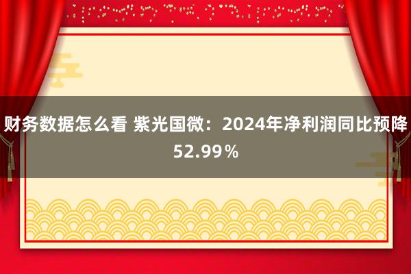 财务数据怎么看 紫光国微：2024年净利润同比预降52.99％