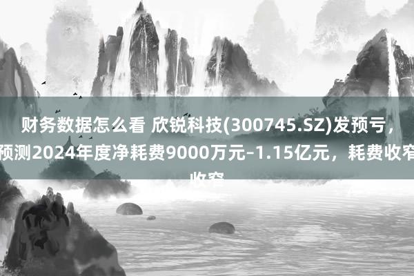 财务数据怎么看 欣锐科技(300745.SZ)发预亏，预测2024年度净耗费9000万元–1.15亿元，耗费收窄