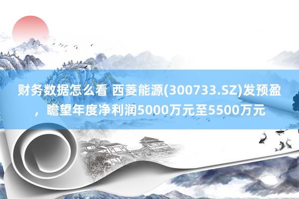 财务数据怎么看 西菱能源(300733.SZ)发预盈，瞻望年度净利润5000万元至5500万元