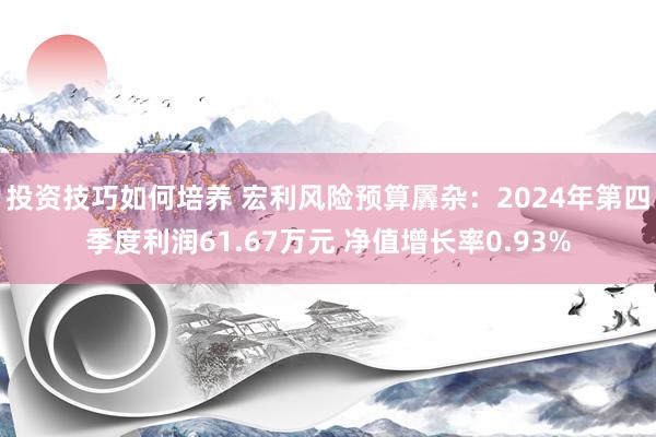 投资技巧如何培养 宏利风险预算羼杂：2024年第四季度利润61.67万元 净值增长率0.93%