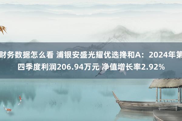 财务数据怎么看 浦银安盛光耀优选搀和A：2024年第四季度利润206.94万元 净值增长率2.92%