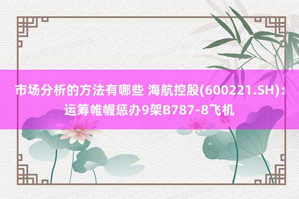 市场分析的方法有哪些 海航控股(600221.SH)：运筹帷幄惩办9架B787-8飞机