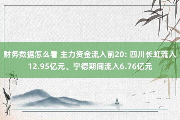 财务数据怎么看 主力资金流入前20: 四川长虹流入12.95亿元、宁德期间流入6.76亿元