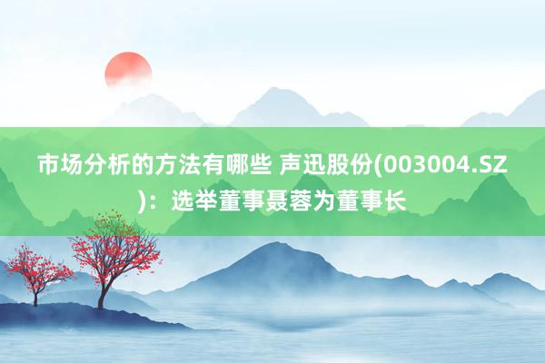 市场分析的方法有哪些 声迅股份(003004.SZ)：选举董事聂蓉为董事长