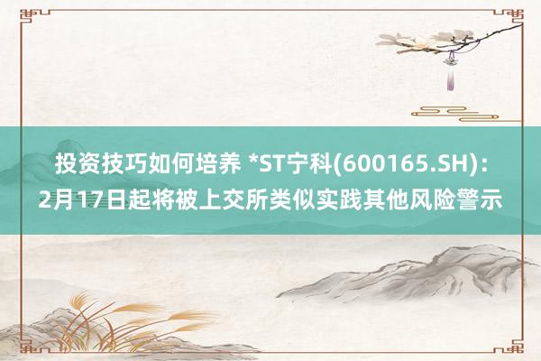 投资技巧如何培养 *ST宁科(600165.SH)：2月17日起将被上交所类似实践其他风险警示