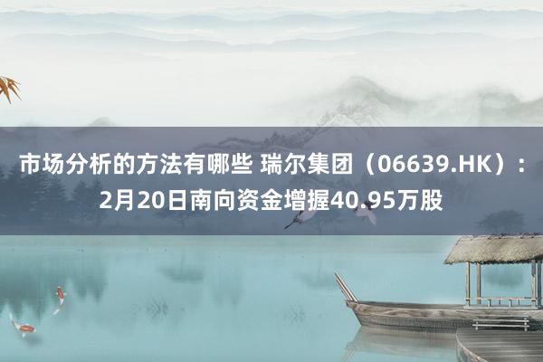 市场分析的方法有哪些 瑞尔集团（06639.HK）：2月20日南向资金增握40.95万股