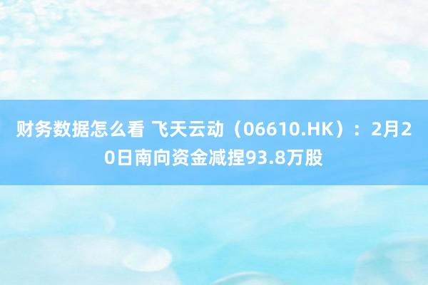 财务数据怎么看 飞天云动（06610.HK）：2月20日南向资金减捏93.8万股