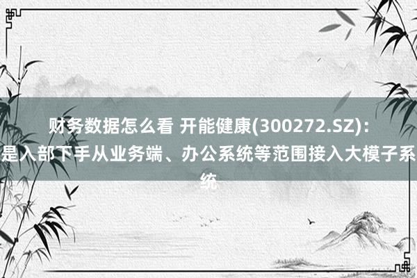 财务数据怎么看 开能健康(300272.SZ)：还是入部下手从业务端、办公系统等范围接入大模子系统