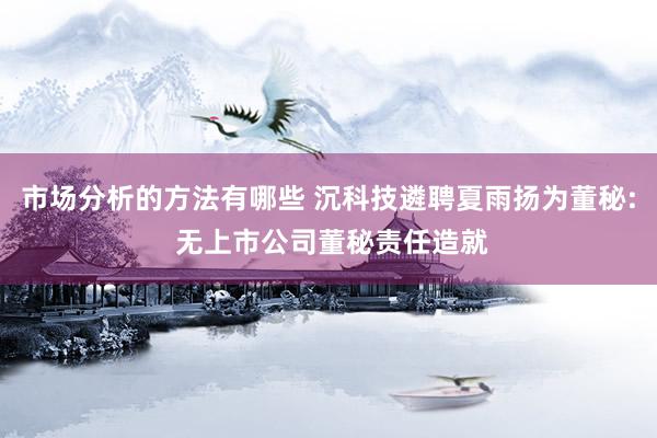 市场分析的方法有哪些 沉科技遴聘夏雨扬为董秘: 无上市公司董秘责任造就