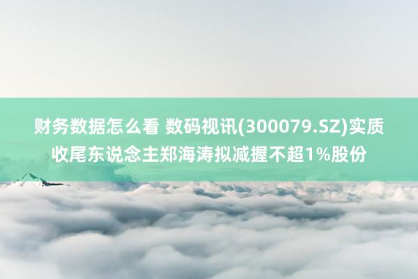 财务数据怎么看 数码视讯(300079.SZ)实质收尾东说念主郑海涛拟减握不超1%股份