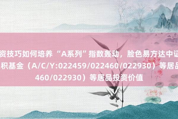 投资技巧如何培养 “A系列”指数轰动，脸色易方达中证A500ETF聚积基金（A/C/Y:022459/022460/022930）等居品投资价值