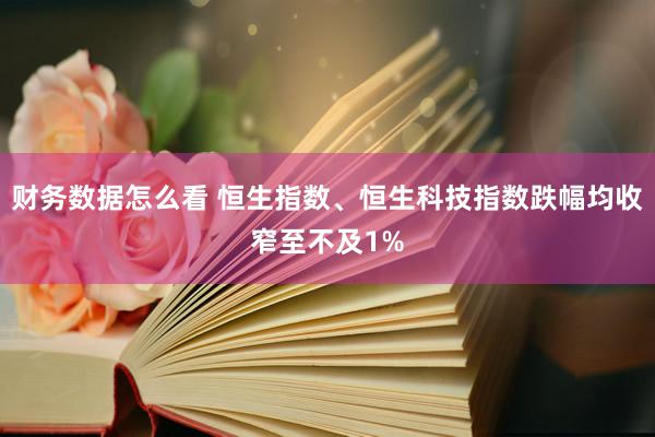 财务数据怎么看 恒生指数、恒生科技指数跌幅均收窄至不及1%