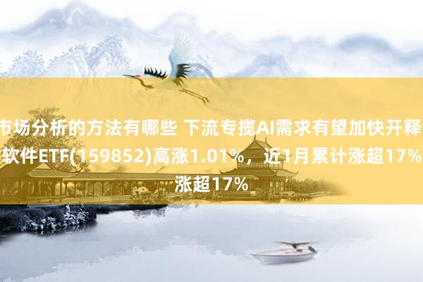 市场分析的方法有哪些 下流专揽AI需求有望加快开释，软件ETF(159852)高涨1.01%，近1月累计涨超17%