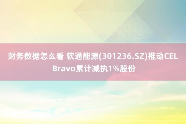 财务数据怎么看 软通能源(301236.SZ)推动CEL Bravo累计减执1%股份