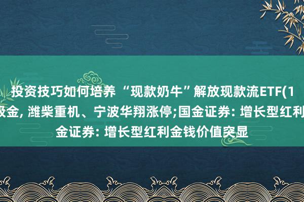 投资技巧如何培养 “现款奶牛”解放现款流ETF(159201)不竭吸金, 潍柴重机、宁波华翔涨停;国金证券: 增长型红利金钱价值突显