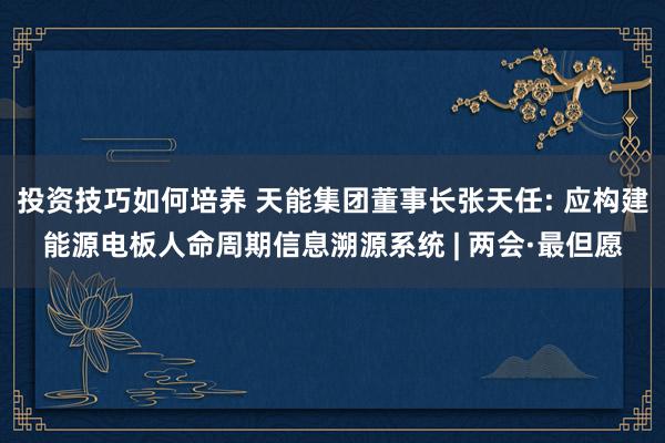 投资技巧如何培养 天能集团董事长张天任: 应构建能源电板人命周期信息溯源系统 | 两会·最但愿