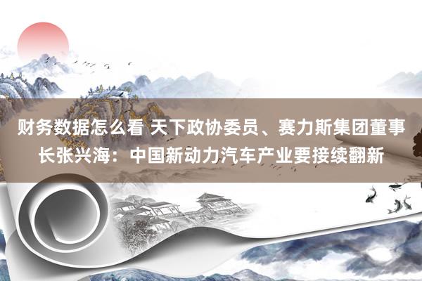 财务数据怎么看 天下政协委员、赛力斯集团董事长张兴海：中国新动力汽车产业要接续翻新